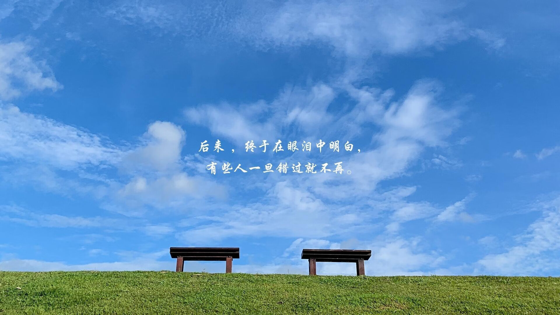 新赛季战绩揭晓，谁将晋级季后赛再成焦点，新赛季排名