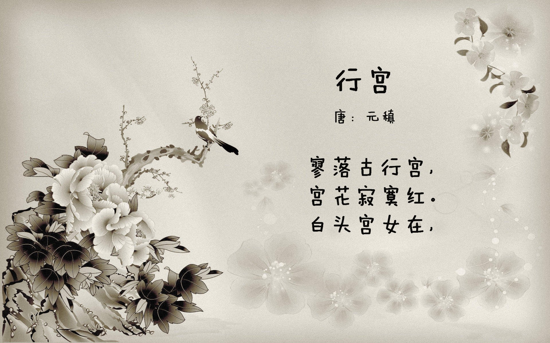 公牛球队拍摄公益宣传片关注城市环保，公牛队官方网站