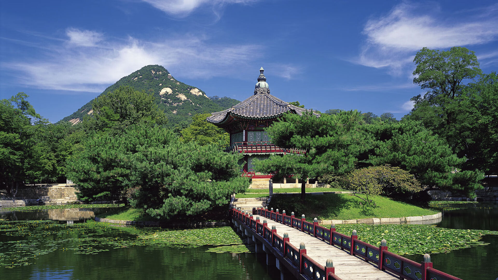 卢卡·乌兰多蝶泳展现大将风范