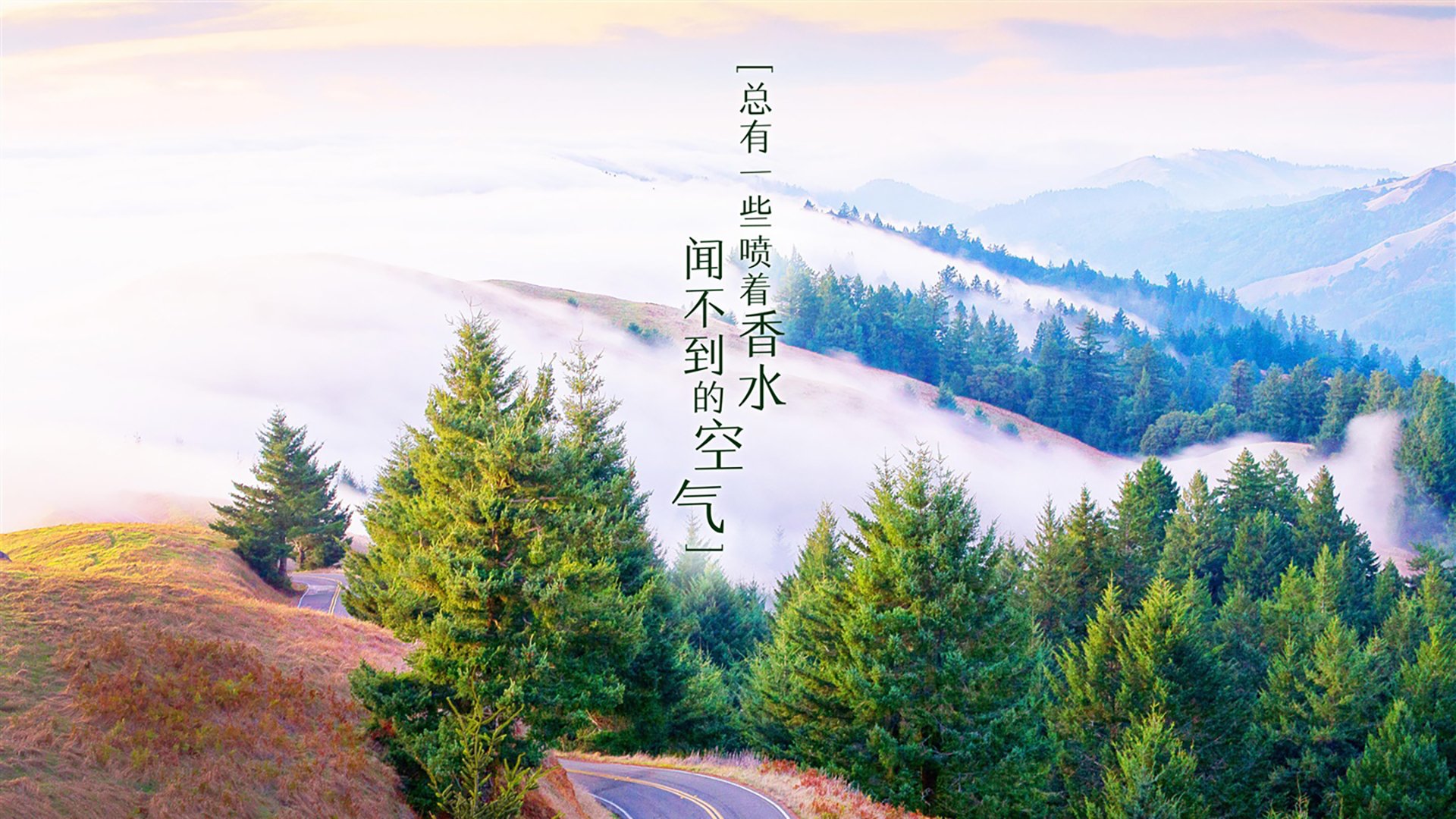 希腊女篮在欧洲锦标赛中再夺金牌，传统强队再续辉煌，希腊女球迷